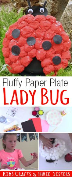 lady bug crafts and activities for kids to do with paper plates, rocks, and other materials