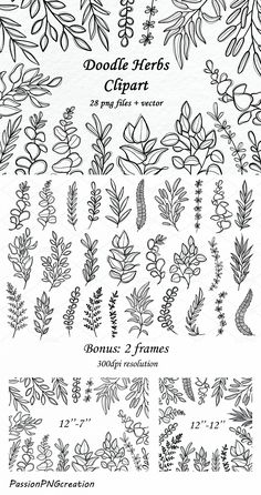 the different types of flowers and leaves are shown in this graphic file, which is also available