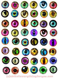 an assortment of colorful eyeballs on a white background