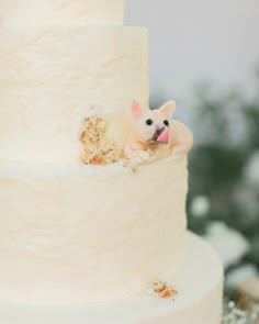 a close up of a cake with a mouse on it