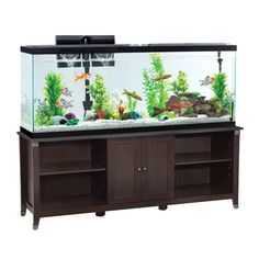 an aquarium with fish and plants in it on top of a wooden cabinet next to a white wall