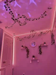 a bedroom with pink lighting and plants hanging from the ceiling, along with other decorations