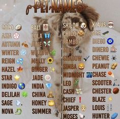 a poster with the names of pet names