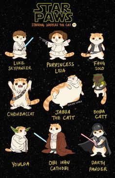 star wars characters with their names in the middle and on top of them are cats