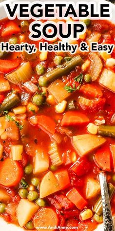 vegetable soup with hearty, healthy and easy ingredients