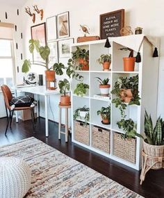 a living room filled with lots of potted plants next to a white shelf covered in pictures