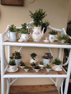 a white shelf filled with potted plants on top of a wooden floor