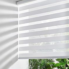 the blinds in this room are white and have stripes on them, as well as green plants