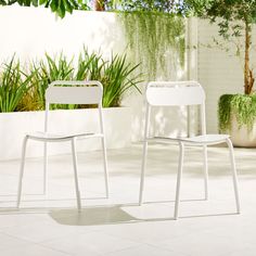 two white chairs sitting next to each other on top of a tile floor in front of plants