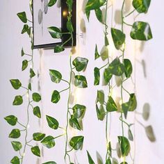 there is a green plant hanging on the wall next to a mirror and some lights