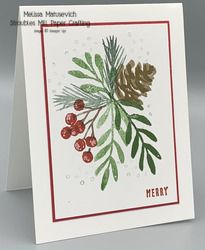 a christmas card with pine cones and berries