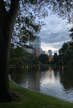 a large body of water sitting next to a lush green park covered in lots of trees