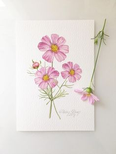 some pink flowers are sitting on top of a white paper with watercolor pencils