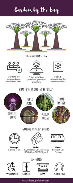 the garden by the bay info sheet shows different types of trees and plants in various stages of development