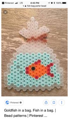 an image of a fish in a bag made out of plastic beads