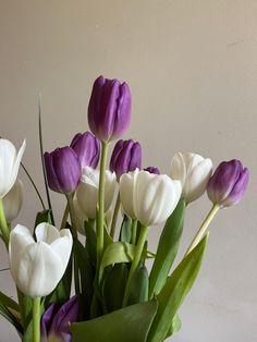 purple and white tulips are in a vase