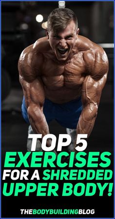 the bodybuilding blog's top 5 exercises for a shredded upper body