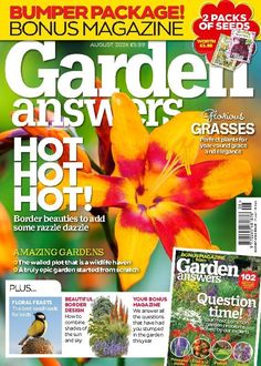 the front cover of a magazine with an image of a flower and bird on it