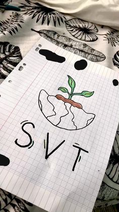 a piece of paper with the word svt written on it and a drawing of a plant