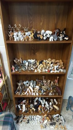 a book shelf filled with lots of different types of figurines on top of carpeted floor