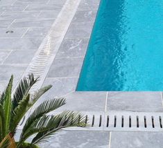 an empty swimming pool next to a palm tree in a backyard with concrete pavers