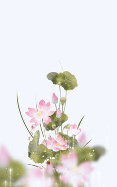 some pink flowers and green leaves on a white background