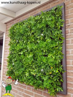 a green wall mounted to the side of a brick building with plants growing on it