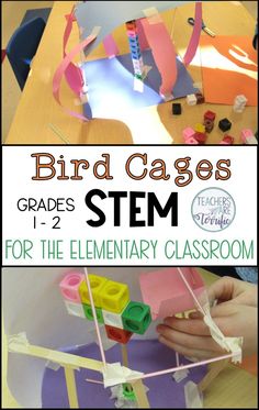 Classroom Decor Ideas, Pet Taxi, Pirate Books, Stem Ideas, Herding Cats, Engineering Activities, Stem Teacher