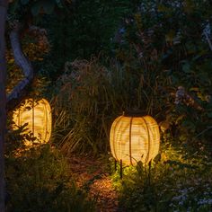 two lanterns lit up in the garden at night