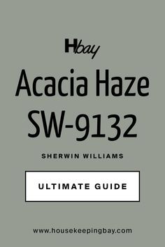 Acacia Haze SW-9132 by Sherwin Williams. The Ultimate Guide Clary Sage Sherwin Williams Exterior, Sage Green Light Sherwin Williams, Sw Acacia Haze, Acacia Haze Sherwin Williams, Sherwin Williams Green, Zyla Colors