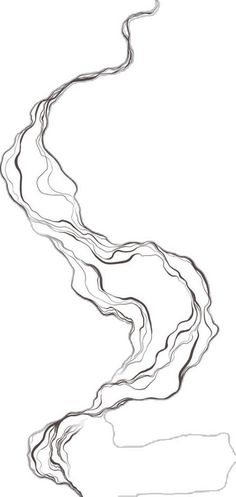 a drawing of a river flowing down it's side in black and white ink