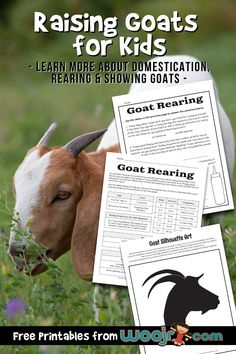 goats and goats with text reading raising goats for kids learn more about domesticism, bearing & showing goats