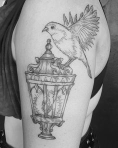 a bird sitting on top of a lamp post with its wings flying above the light