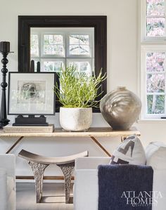 a living room filled with furniture and a potted plant on top of a table