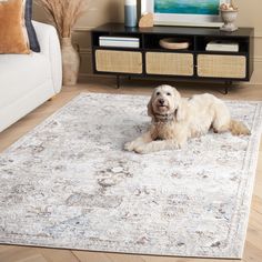 a dog laying on top of a rug in a living room