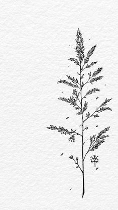 Botanisches Tattoo, Flower Line Drawings, Summer Tattoo, Doodle Tattoo, Botanical Tattoo, 수채화 그림, Art Tattoos, Simplistic Tattoos, Piercing Tattoo