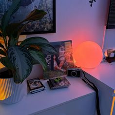 a white table with a plant and some pictures on the top shelf next to it