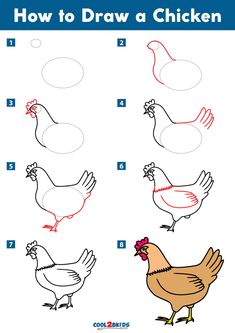 how to draw a chicken step by step instructions for children and beginners with pictures