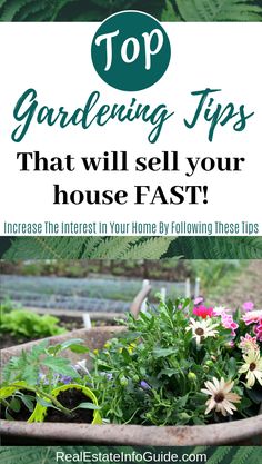 gardening tips that will sell your house fast