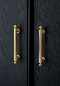 two black doors with brass handles on them