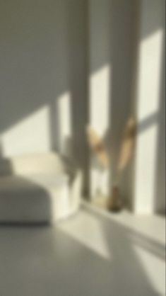 a blurry photo of a white couch in a living room with sunlight coming through the windows