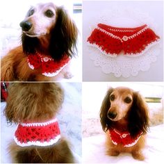 three pictures of a dog wearing a red and white crocheted collar with lace trim