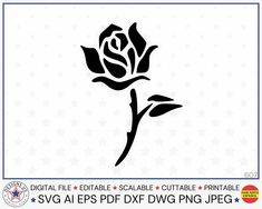 a black and white rose with stars in the background is an example of how to make a