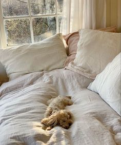 a dog laying on top of a bed with white sheets and pillows next to a window