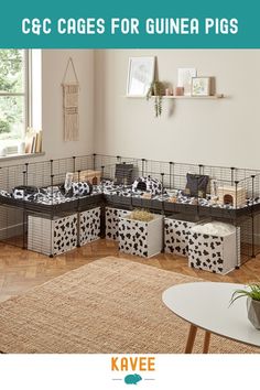 several cages for guinea pigs in the corner of a room