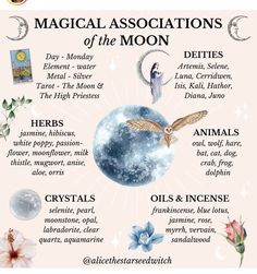 Moon Correspondences Witches, Herbs Of The Moon, Flowers Associated With The Moon, January Magical Correspondences, New Moon Herbs, Blue Moon Magic, Moon Associations, Moon Rituals Magic, Full Moon Correspondences