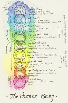 I’ve been trying to visually interpret my understanding of theosophy, and I thought I’d share my paintings and notes with all of you. I’ve only finished one diagram, but I plan on… Rudolf Steiner, Les Chakras, Chakra Meditation, Human Being, Spell Book, Sacred Geometry