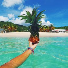 a person is holding up a pineapple in the water near a beach with palm trees