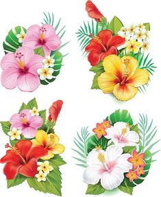 tropical flowers and leaves on white background