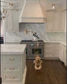 a dog sitting in the middle of a kitchen with white cabinets and marble counter tops